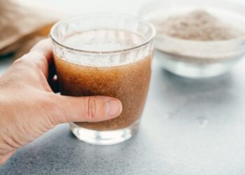 What is Psyllium Husk? Everything You Need to Know