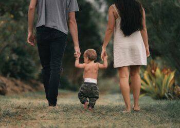 whole-family support for domestic violence and abuse