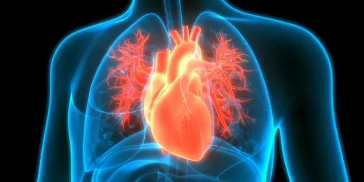 ARPA-H to invest $62M to build agentic AI agent for heart care