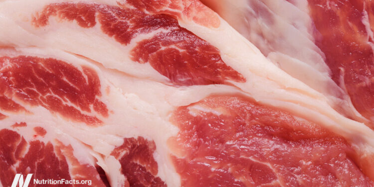 The Meat Papers Contradicted Their Own Data