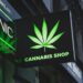 Understanding the mental health risks linked with cannabis use