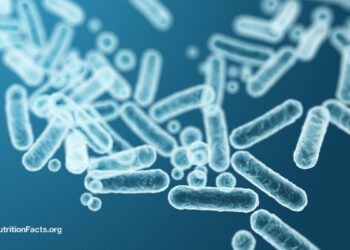 Feeding Our Gut Microbiome for Better Health